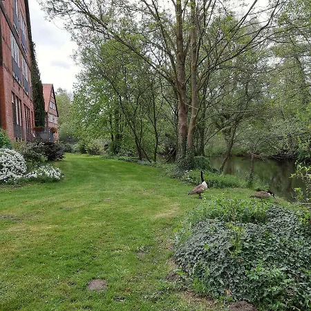 Lueneburger Heide - Aurelia *
