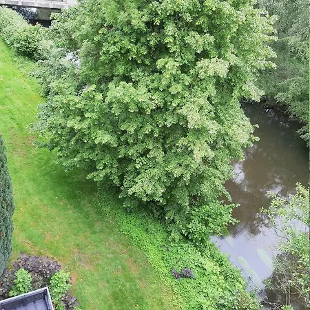 Lueneburger Heide - Aurelia * Bad Bevensen