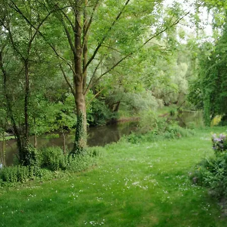 Lueneburger Heide - Aurelia